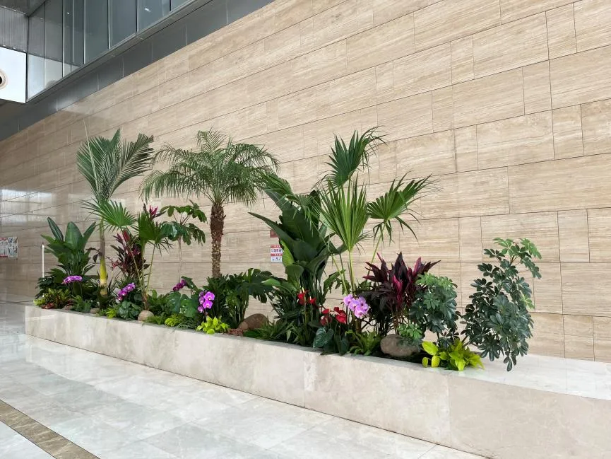 详析宁波余姚花卉租赁方案，开启花卉租赁之旅